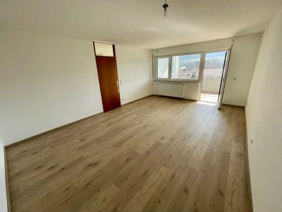 Neu renovierte 2,5-Zimmer-Wohnung mit sonnigem Balkon in Hofherrnweiler