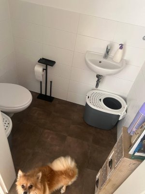 Nachmieter ab sofort gesucht