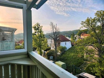 Über den Dächern von Wernigerode – Frisch kernsanierte 3-Zimmer-ETW mit Südbalkon !! Provisionsfrei