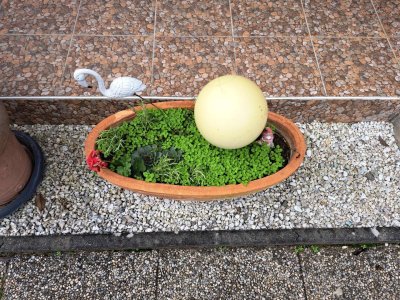 um NUR € 95.000,- Haus + Pool + Grillplatz + Garten Bj 2016