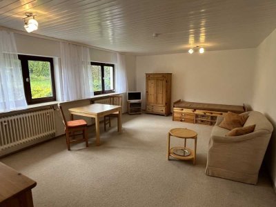 Vollmöblierte renovierte 1-Zimmer-Einlieger-Wohnung in Bad Vilbel auf Zeit zu vermieten