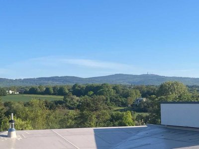 Top Grundstück mit Altbestand in Bestlage Kelkheim