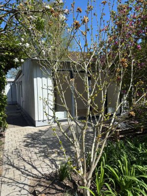 Idyllischer 4-Zimmer-Bungalow mit Obstwiesengarten am Hildener Stadtrand zur Miete