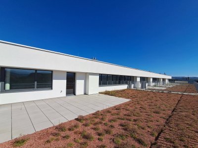 WEINZIERL XIII B - 76