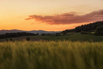 HERZOG1 - MODERN, BARRIEREFREI  UND MITTEN IN DER STADT!