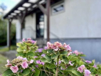 kinderfreundlicher Rohdiamant mit großzügigem Garten