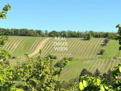 Stilvolle Maisonette in Top-Lage – inklusive Garten und Weinbergblick