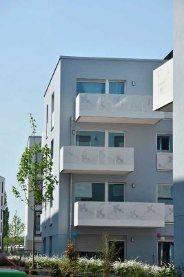 Schöne zwei-Zimmerwohnung am Butzweilerhof zu vermieten