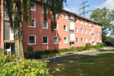 Gemütliche Singlewohnung zur Miete in Elmshorn - Wentzel Dr.