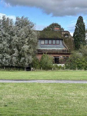 Casa Dimen: Voller Elbblick am Deich!