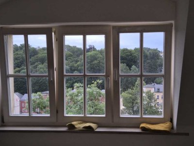 Günstige 1-Zimmer-Dachgeschosswohnung mit EBK in Auerbach