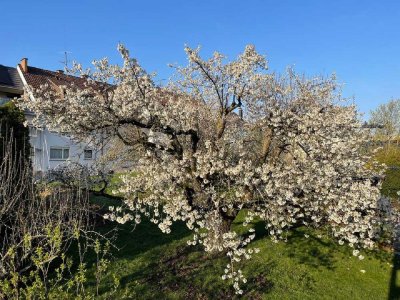 Helle 3-Zimmer Wohnung mit Balkon in Stuttgart-Zuffenhausen