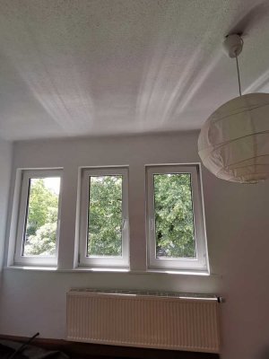 3,5-Zimmer WG- Wohnung in Ludwigsburg