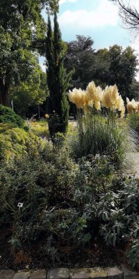 Citynahes EFH Nähe Aasee mit herrlichem Garten