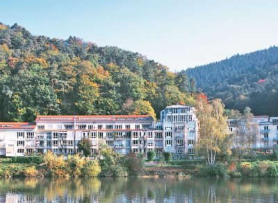 gepflegte 1,5-Zimmer-Wohnung mit Einbauküche  in Heidelberg-Ziegelhausen