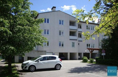 Single- oder Pärchenwohnung im Erdgeschoß