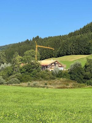 Alleinlage 3-Zimmer-Wohnung in Wertach (Wohnung über 2 Etagen)