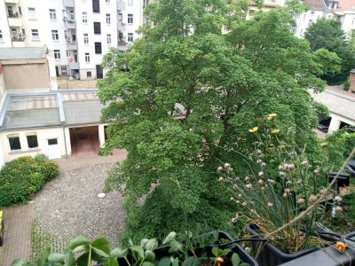 Helle 3-Zimmer Wohnung mit Balkon in Leipzig-Schönefeld-Abtnaundorf