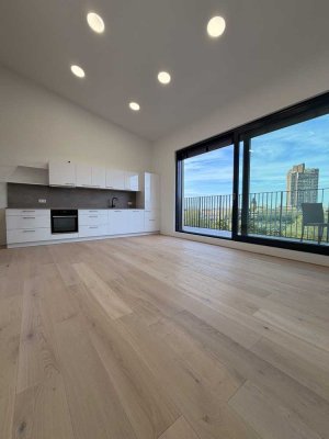 Exklusives Penthouse mit zwei Dachterrassen & Neckarblick – Erstbezug Mannheim Innenstadt