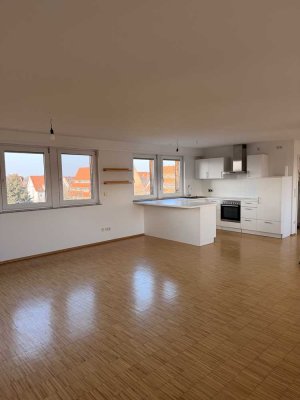Loft über den Dächern Seckenheims