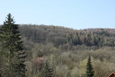 Attraktive und modernisierte 3-Raum-EG-Wohnung mit geh. Innenausstattung mit EBK in Waldshut-Tiengen