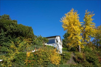 Exklusives Grundstück in Traumlage – Villa mit Geschichte oder Neubau mit Weitblick