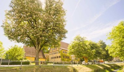 Viel Platz, viele Möglichkeiten, viel Potential!