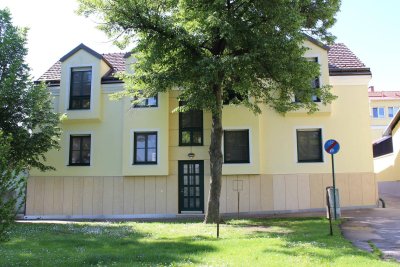 RARITÄT: PERFEKTES, MODERNES ARCHITEKTENHAUS AN DER DONAULÄNDE ALS REPRÄSENTATIVER WOHNSITZ AUF HÖCHSTEM NIVEAU MIT DONAUBLICK