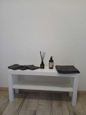 Stilvolle 1-Raum-Wohnung in Vaihingen Enz - Aurich