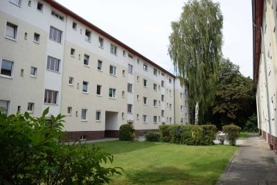 TOP 2 Zimmerneubauwohnung in Berlin-Britz