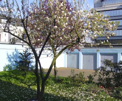 Wohnung in gepflegtem Haus, gute  sonnige Wohnlage