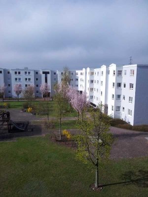 Schöne 1 1/2 Zimmer Wohnung