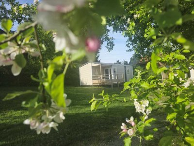 Freistehendes MiniChalet  mit Terasse und Garten