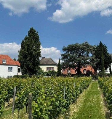 Historisches Anwesen mit klasse Panoramablick über die Weinberge