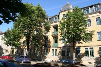 Schöne Altbauwohnung im Hochparterre  mit Wohnküche - ruhige Lage in DD-Pieschen