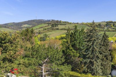 Penthouse mit Blick in die Weinberge