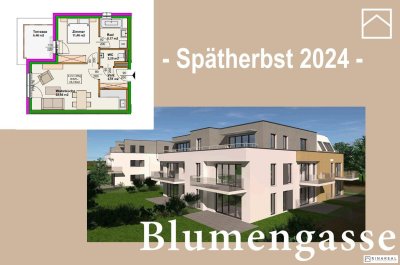 Blumengasse - Bauteil B | Neubauprojekt | 2 Zimmer Wohnung - 2.OG | Terrasse | Belagsfertig | Tiefgaragenstellplatz optional | Spätherbst 2024 (Top B9a)