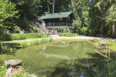 Provisionsfrei: Einzigartiges Ferienhaus mit riesigem Garten und eigenem Bachlauf mitten im Wald