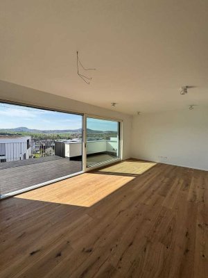 Exklusives Penthouse mit traumhaftem Ausblick in Ilsfeld-Auenstein