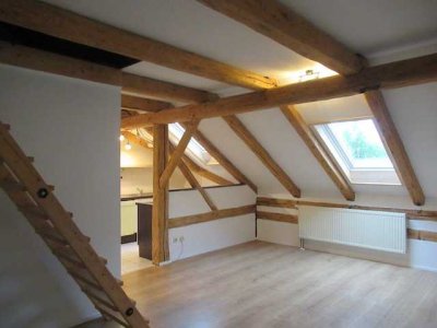 Rustikale Wohnung in altem renovierten Bauernhaus