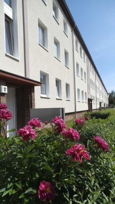 1-Raum Wohnung / Stadtfeld West/ ab 01.02.2026