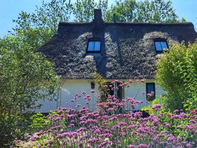 Reet auf dem Dach | Nordsee vor der Tür