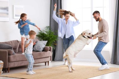 Nachhaltig wohnen: Ihr neues Einfamilienhaus mit PV-Anlage und Keller!