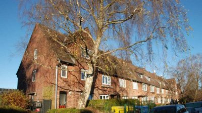 Platzwunder auf den zweiten Blick!