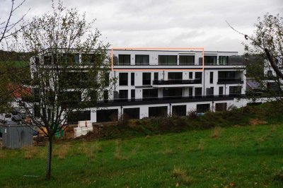 Neuwertige Penthouse-Wohnung mit zwei Zimmern sowie Terrasse und Einbauküche in Passau