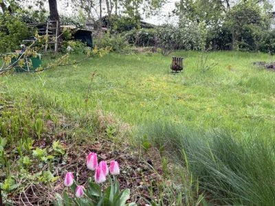 Sommer im eigenen Garten genießen- reserviert bis 12.06.2025