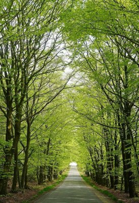 Viel Raum zur persönlichen Entfaltung & Lebensfreude!