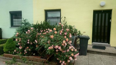 vollmöbliertes Mietsreihenhaus OHNE Ablöse sucht Nachmieter