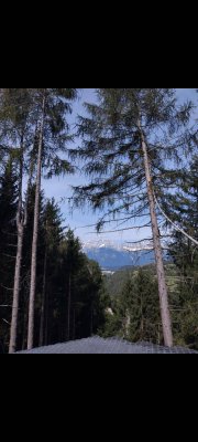 Wohnung zu vermieten