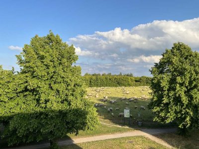 Natur vor der Tür, Stadt im Rücken: energieeffizientes Reihenhaus für Familien